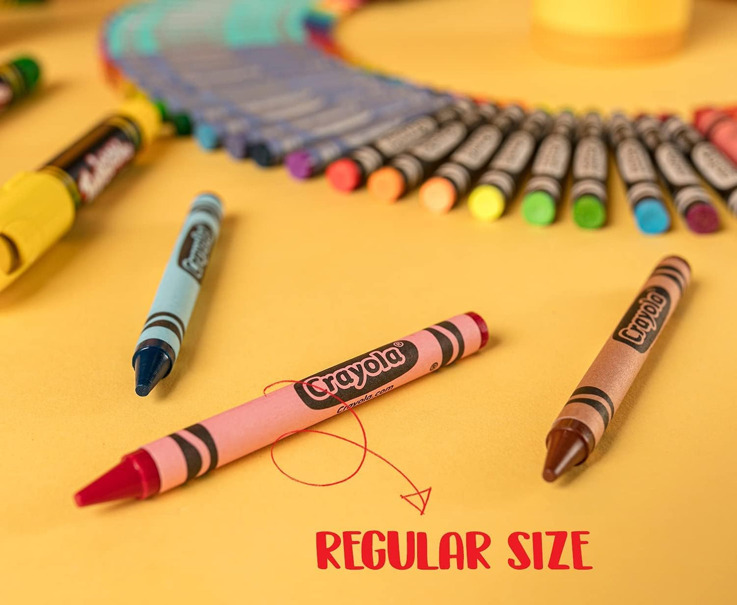 Crayola - 288 Crayons Classpack, 72 Colours, Regular Size, School Supplies