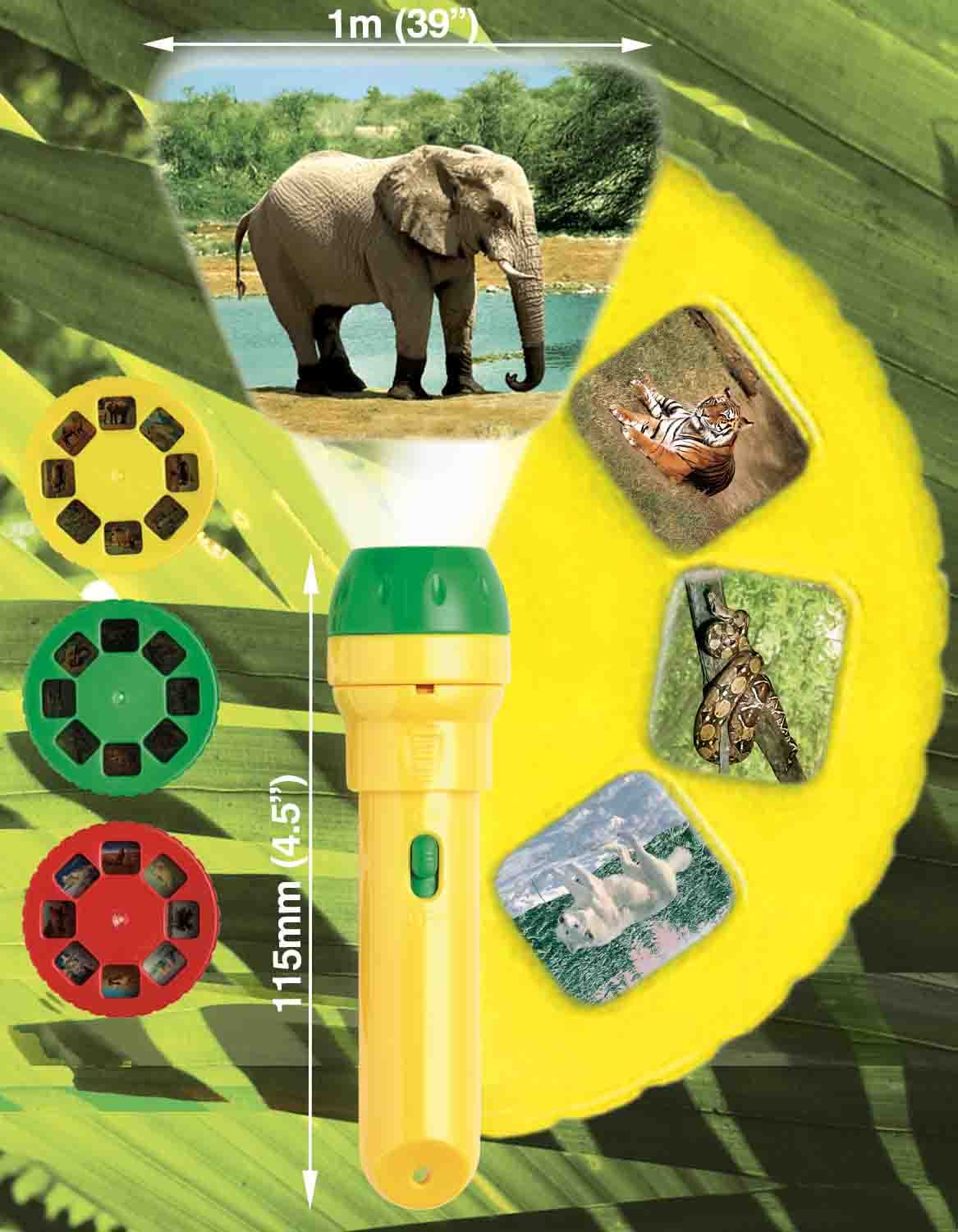 Brainstorm Toys STEM Animal Torch and Projector