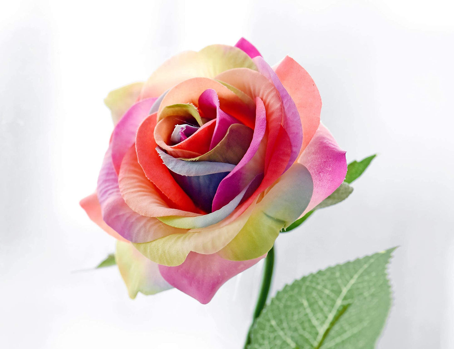 FiveSeasonStuff 10 Stems Real Touch Roses Artificial Flower Silk Roses ‘Petals Feel and Look like Fresh Roses' Bouquet of Flowers Floral Arrangements (Rainbow #17) #17 Rainbow