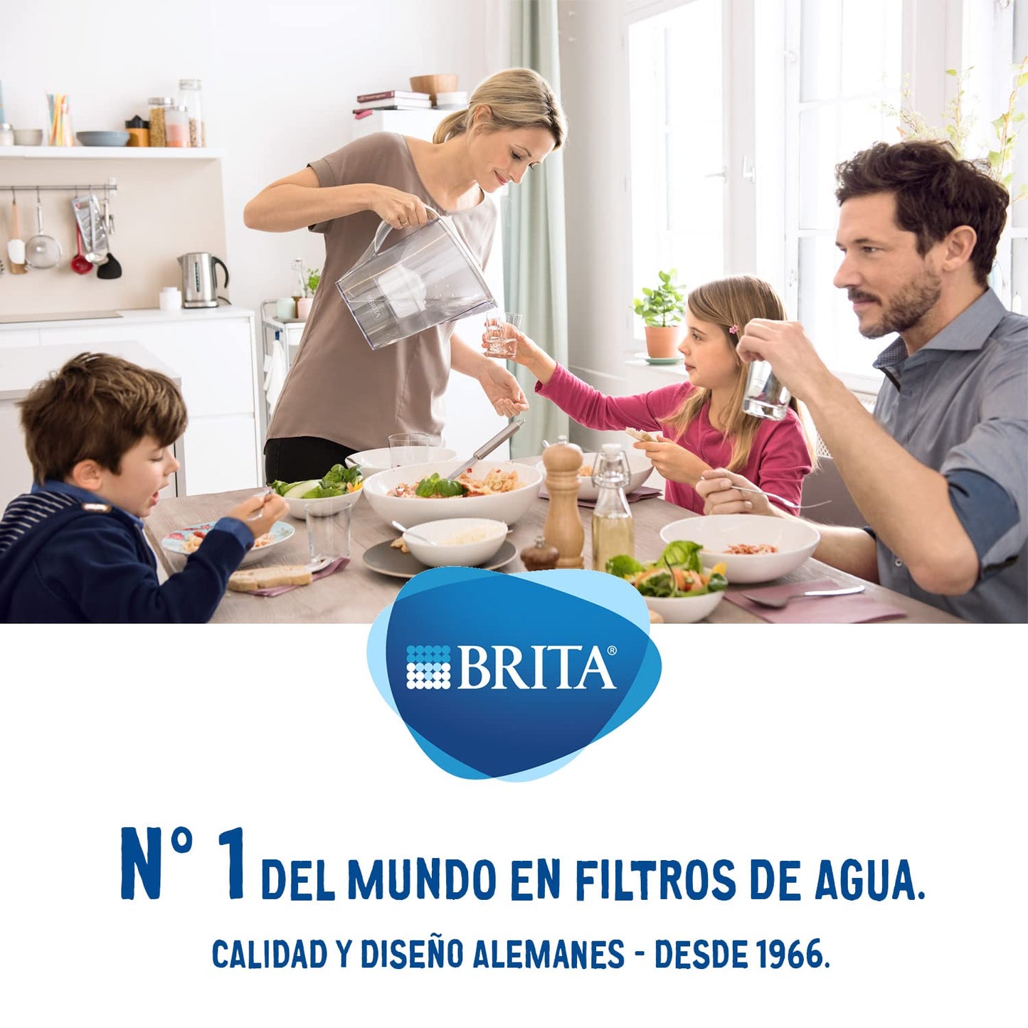 BRITA MAXTRA+ Water Filter Cartridges - 2 Count (Pack of 1) (EU Version) 2 Count (Pack of 1)