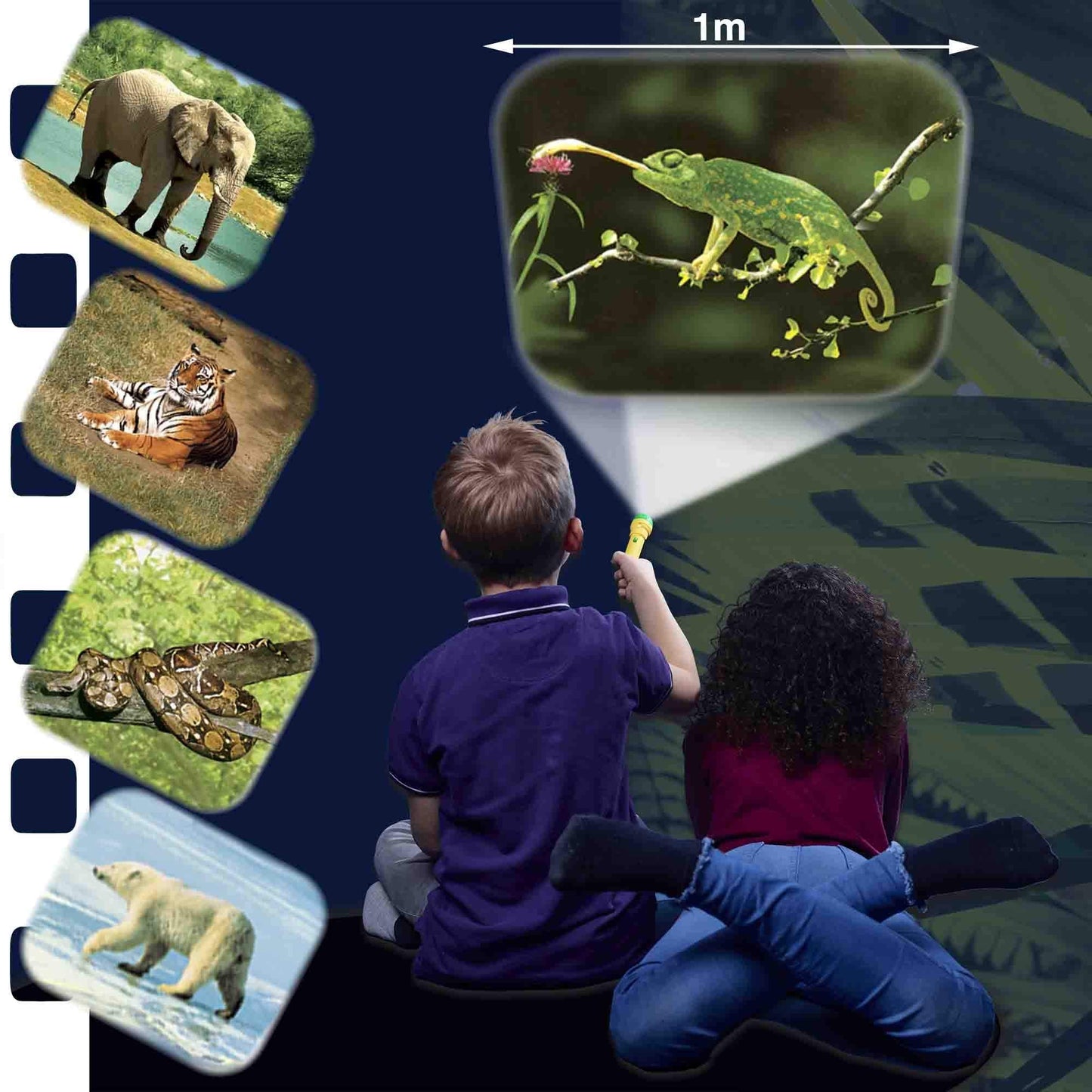 Brainstorm Toys STEM Animal Torch and Projector