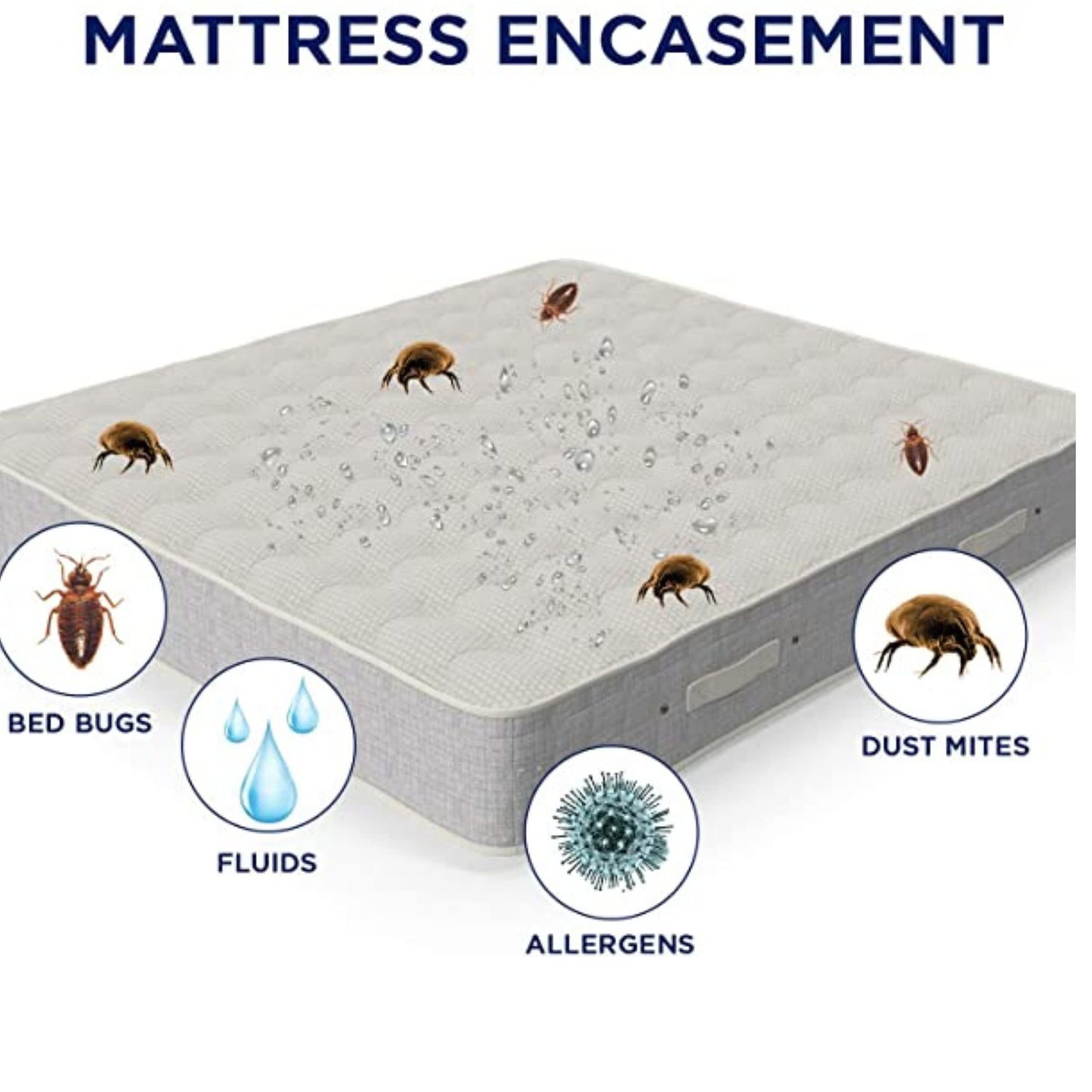 Zipper Anti allergy Bed bug waterproof Mattress Total Encasement Protector cover (Double) Double