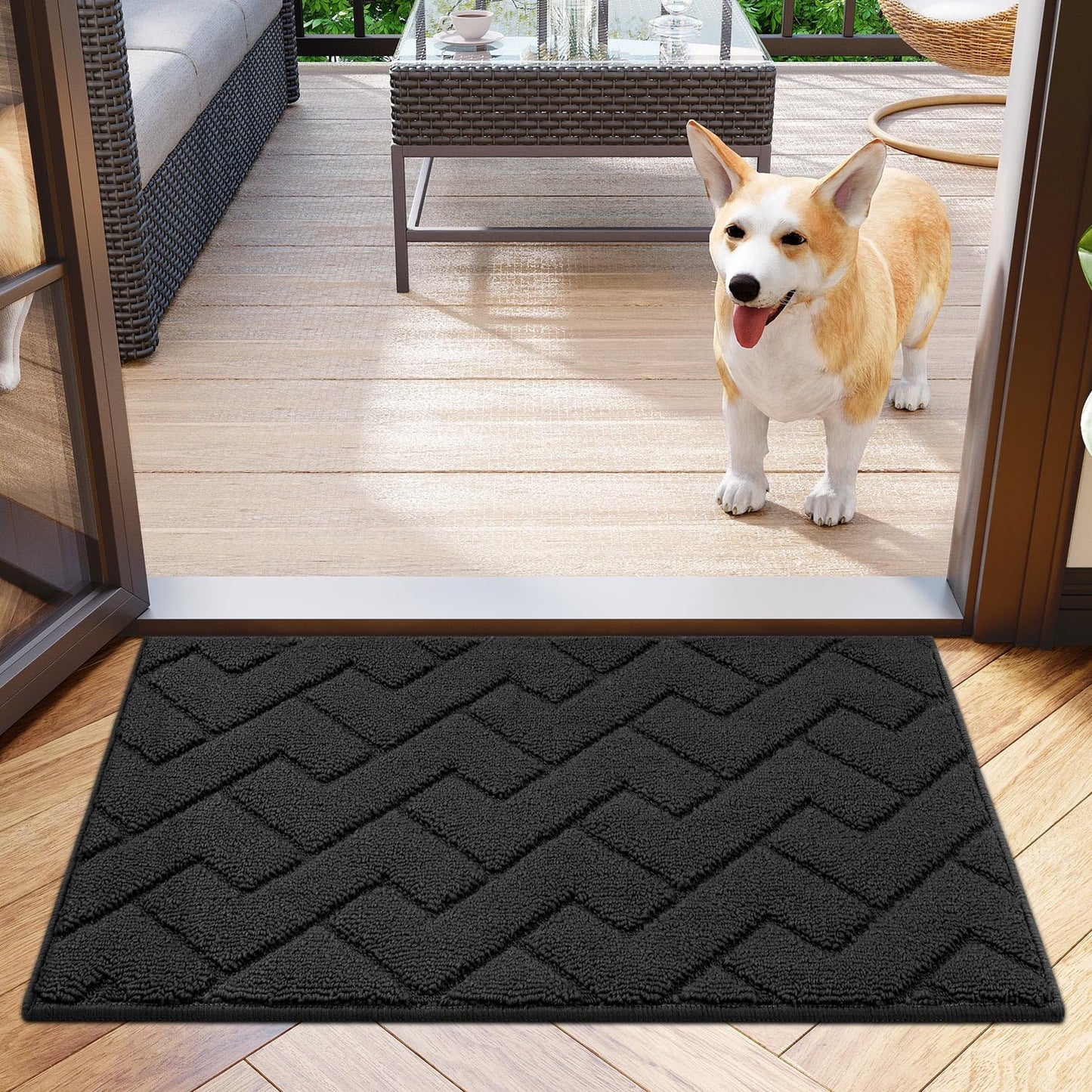 Biscpro Door Mat 50 X 80 cm, Indoor DoorMat Washable, Doormat Dirt Trapper Non-slip, Absorbent Inside Entrance Rug Floor Mat for Entryway, Patio, Garden, laundry Room,Pets and Dogs - Drak Grey Dark Grey