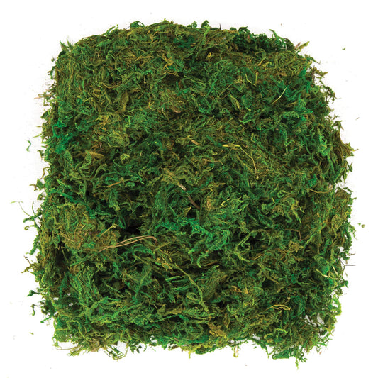 Baker Ross AV898 Dried Moss (Pack of 100G),Green, NA 100gr (pack of 1)